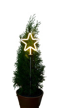 Neonstjärna 87 LED 19 cm Stemning
